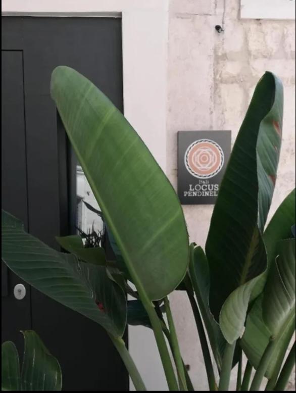 Locus Pendinelli Trani Panzió Kültér fotó